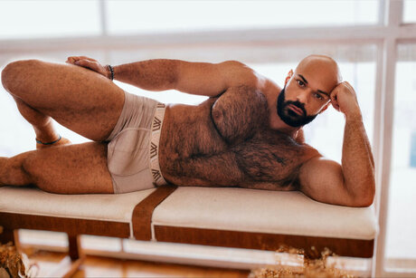 _The__LV__ model top bilder