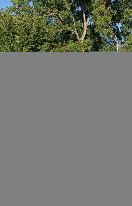 bomba_ kunst hübsche galerien