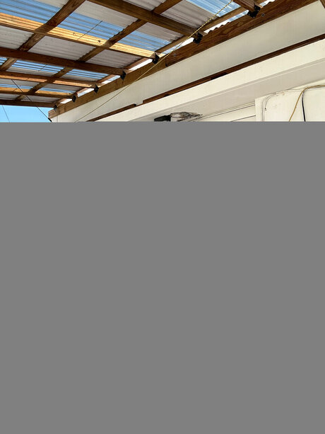 kleiner schwanz shemale onlyfans schöne hübsche archiv