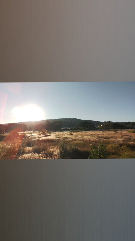 Jos Buenrostro erwachsene nackt foto