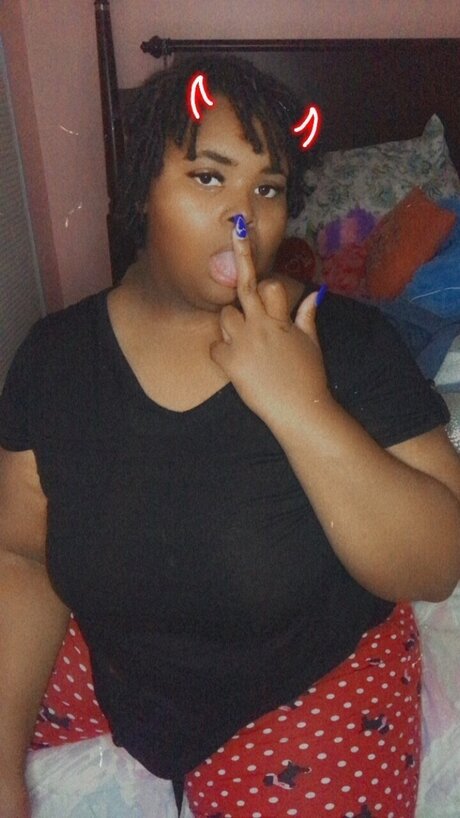 Nova Cane kunst perfekte galerien