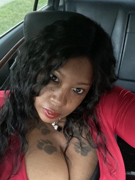 Pork chops nacktheit perfekte galerien