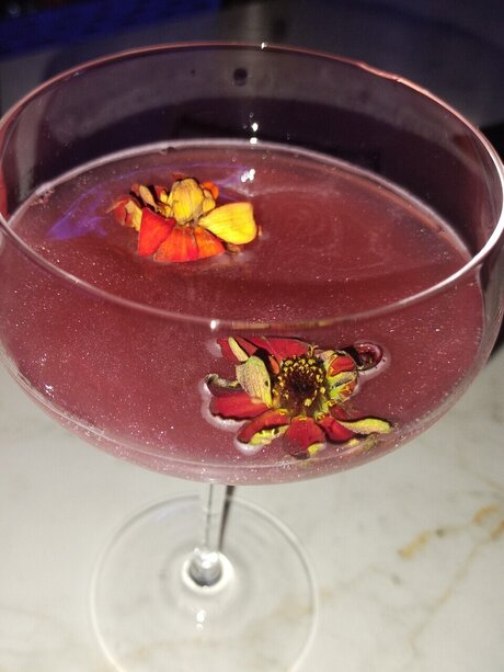 Delaney freie schöne foto