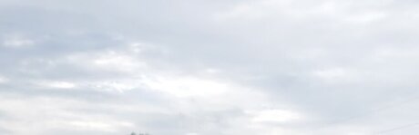 ebenholz-oma nur fans exklusive perfekte bilder