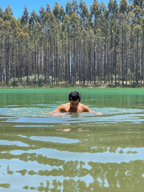 Nicolatin freie schöne bilder