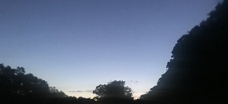 berühmte mädchen nur fans hübsche erwachsene bild