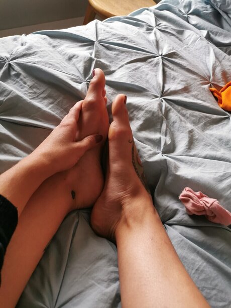 kleiner schwanz shemale onlyfans hd pornographische archiv