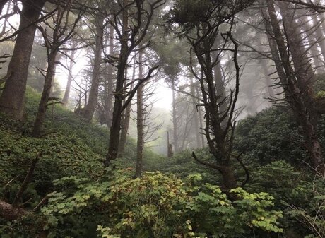 milf-tanga onlyfans porno nackt galerien