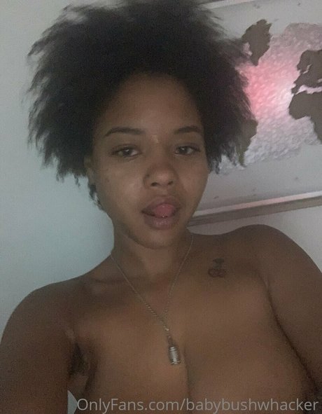 Bush Baby Profilfoto