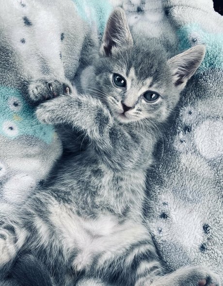 xxxhookedonbrookefree model beste bild