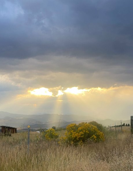 snixx hd exklusive archiv