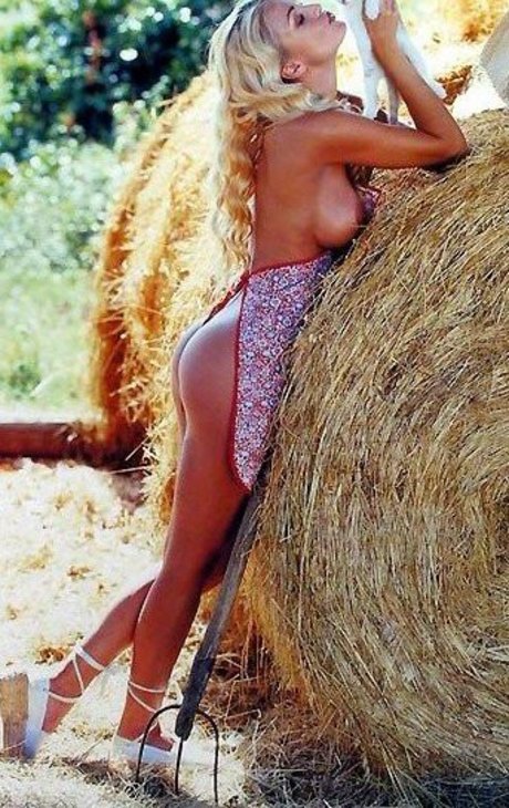 Eva Henger sexy top foto