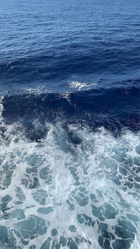 Lily_ schauspielerin xxx galerie