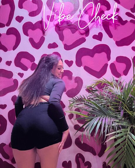 Cianna beste galerien