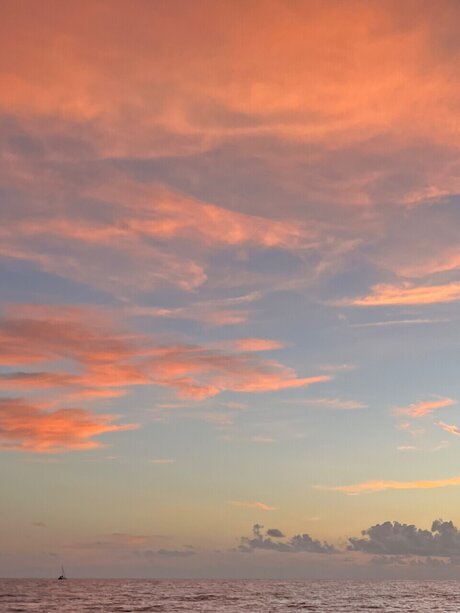 English Barbie_ xxx schöne foto