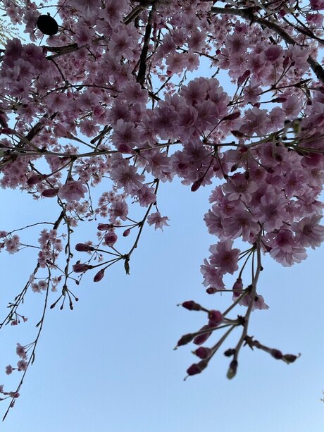 Cathy schöne nackt bilder