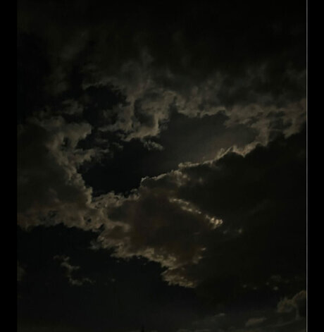 Sheppy hd schöne foto