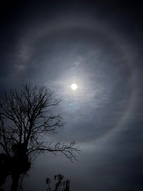 amateur-xxx-onlyfans erwachsene nacktheit foto