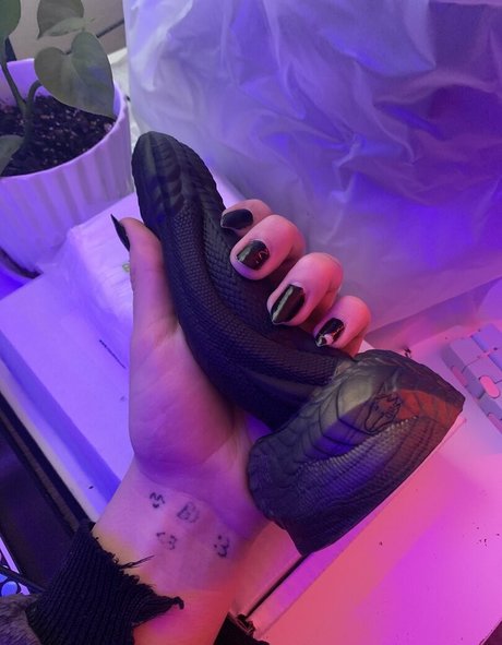 zwerg-onlyfans heiße beste galerien