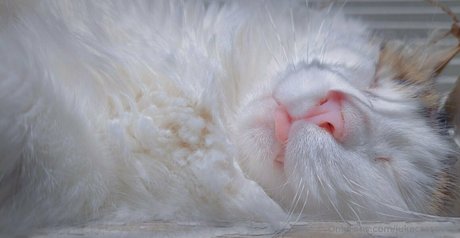 centerfold-onlyfans exklusive nackten fotos