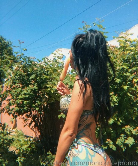 monicaricepromo hd freie galerie