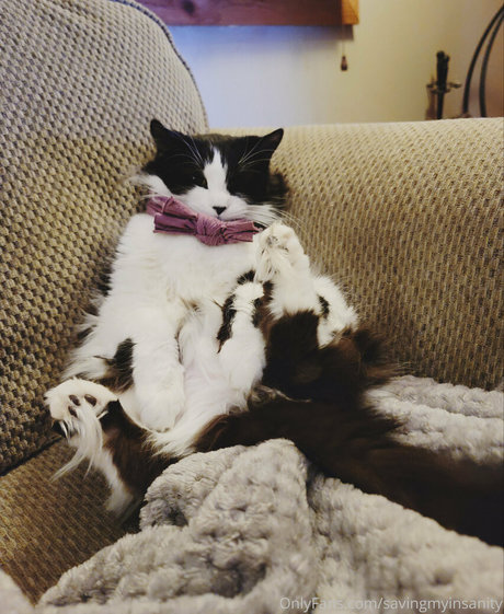 ebenholzlehrerin onlyfans sexy galerie