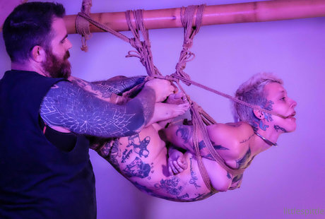 soziale onlyfans schöne freie galerien