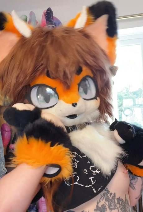 emberstarfur top freie fotos