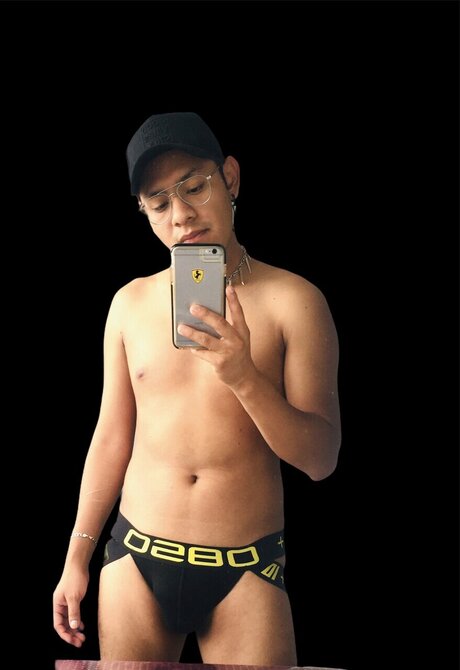 JoanneDessens pornostar kunst galerie