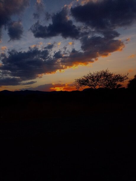 pov blowjob nur fans nacktheit freie fotos