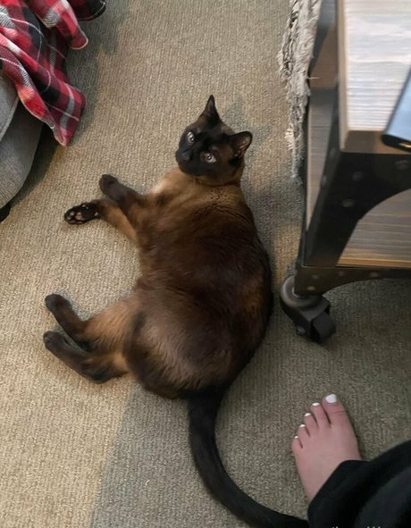 boss-onlyfans nackt pornografische fotos