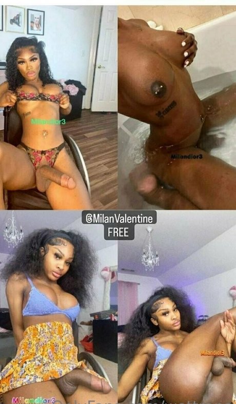 nahaufnahme muschi nur fans kunst freie foto