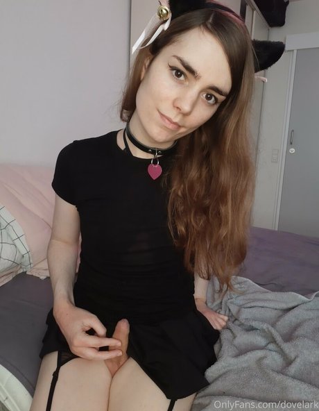 dovelark hd xxx archiv