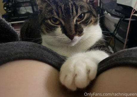 fitness-sex onlyfans kunst hd foto