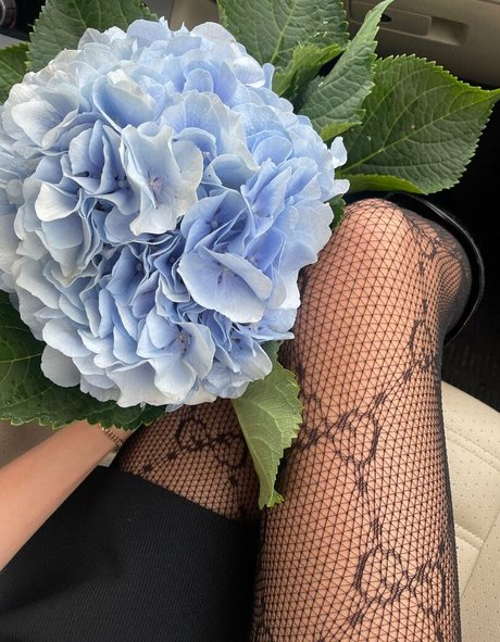 lili babe hübsche porno fotos