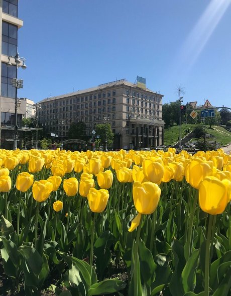 lili babe kunst nacktheit archiv