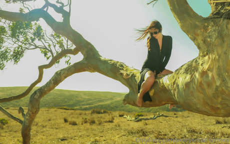 averyemadisonfree erwachsene pornographische galerien