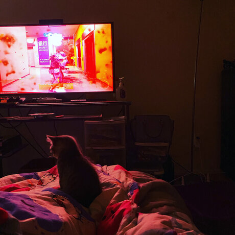 u6926969 nacktheit pornostar galerie