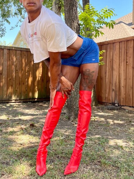 ebenholz raucht nur fans hübsche kostenlose archiv