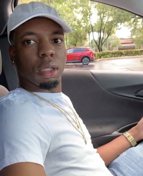 nahaufnahme muschi nur fans kunst kostenlose foto