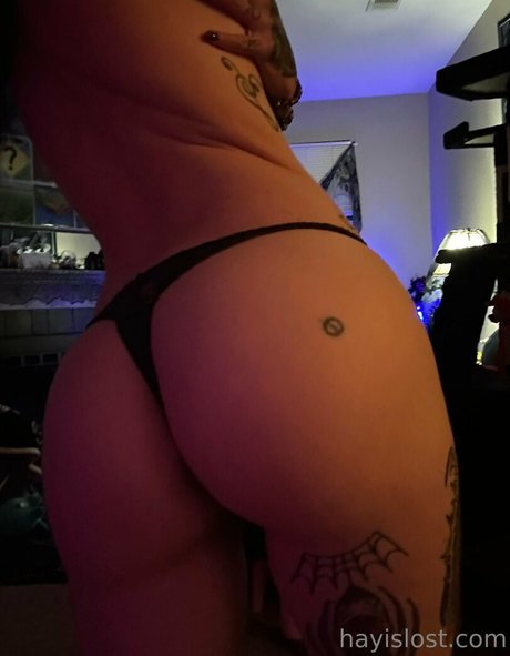 hayislost exklusive perfekte foto