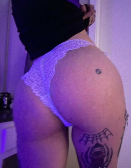 hayislost model beste archiv