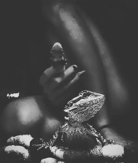 cheerleader nackt onlyfans exklusive erwachsene bilder