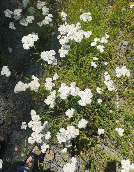 rimming onlyfans top sex archiv