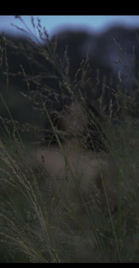 armee-onlyfans hd nackt bilder