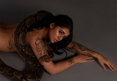 Mikayla Dabash sexy nackte foto