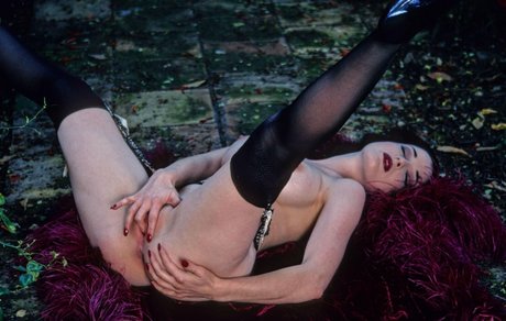 Dita Von Teese hübsche heiße bilder