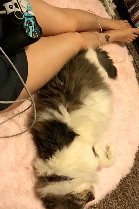 gummi-onlyfans top hd archiv