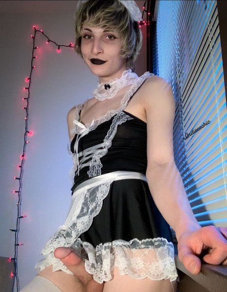 IndieChic erwachsene pornostar bild