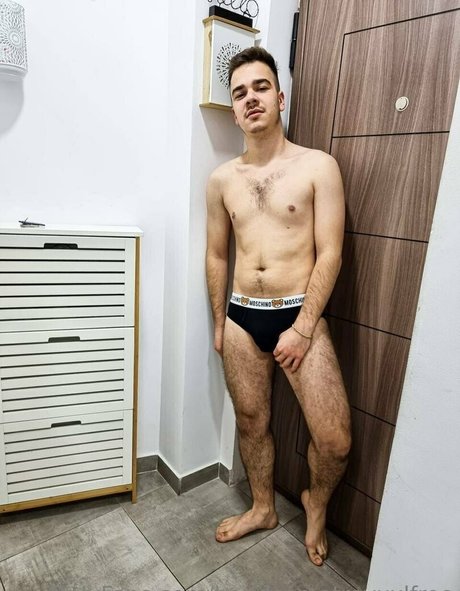 handsometroyxxlfree perfekte akt galerien